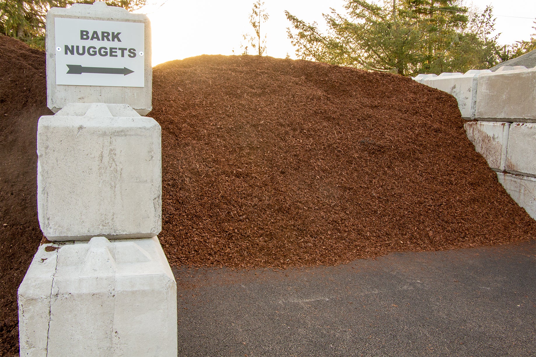 Small Nugget Bark | Bark Ranch