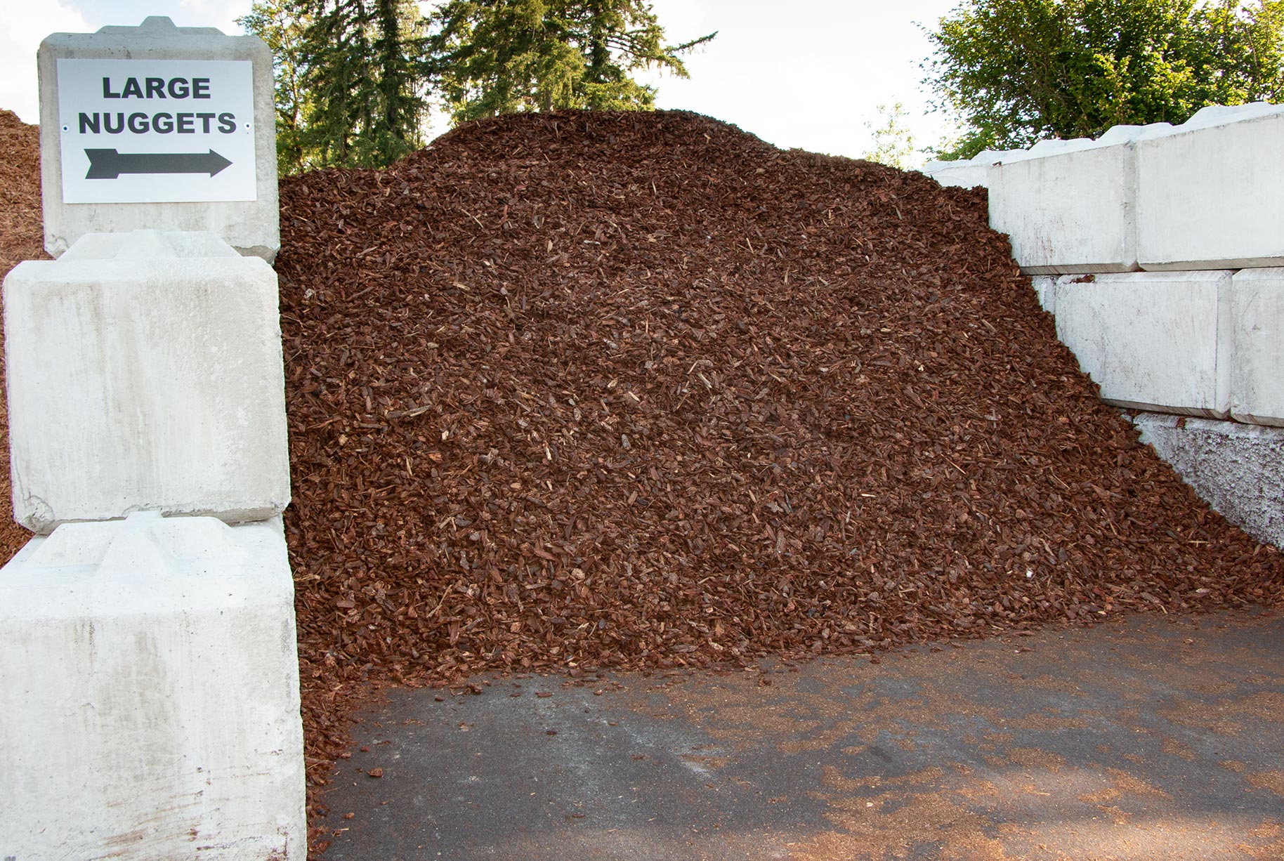 Large Nugget Bark | Bark Ranch