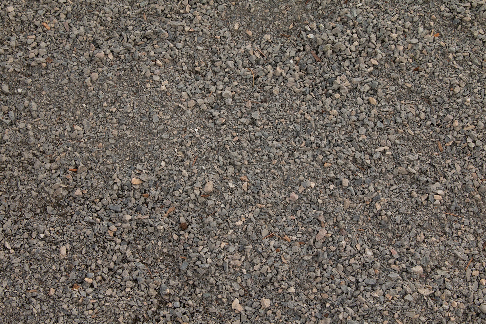 One Quarter Minus | Bark Ranch