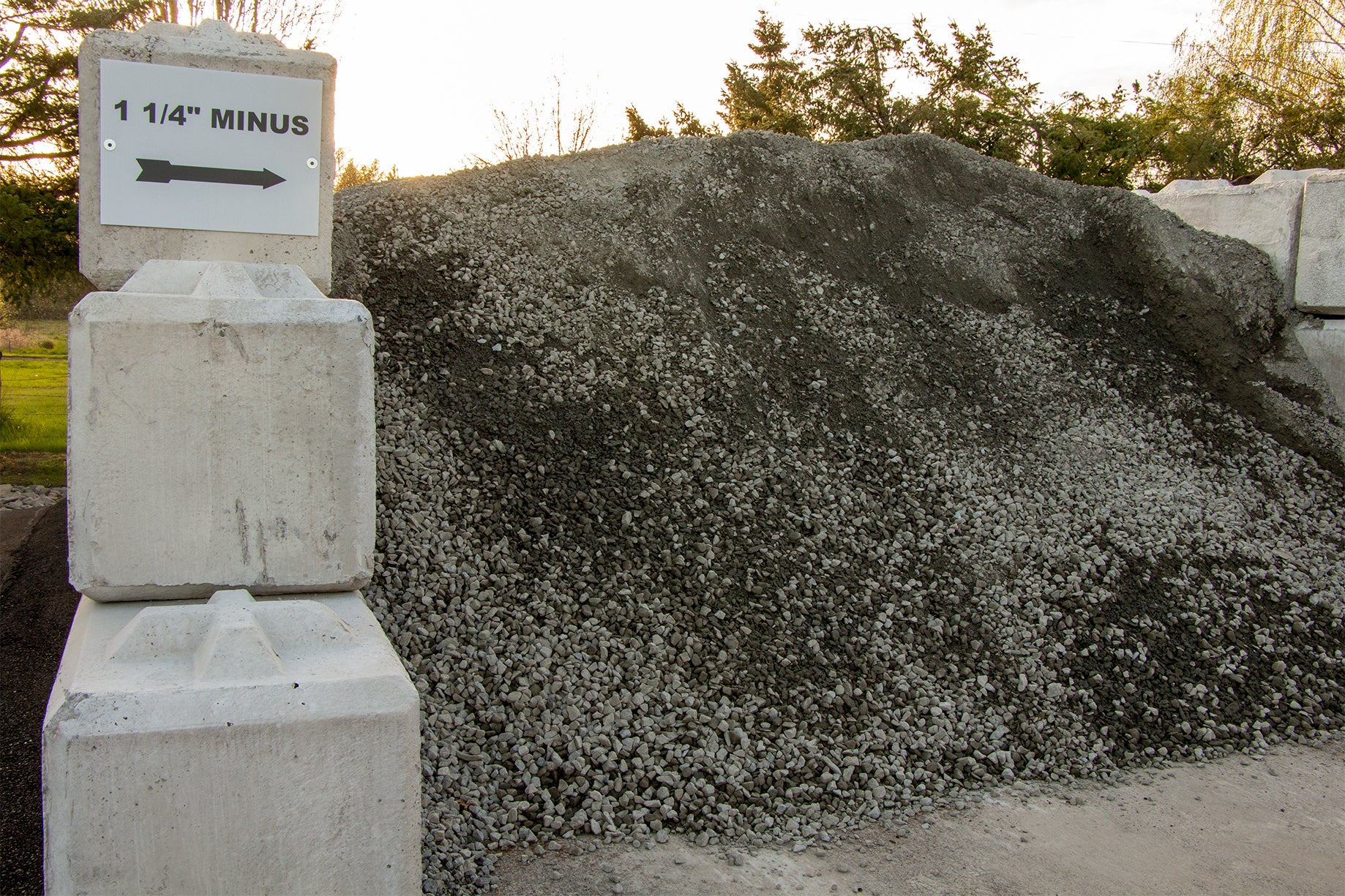 One Quarter Minus | Bark Ranch