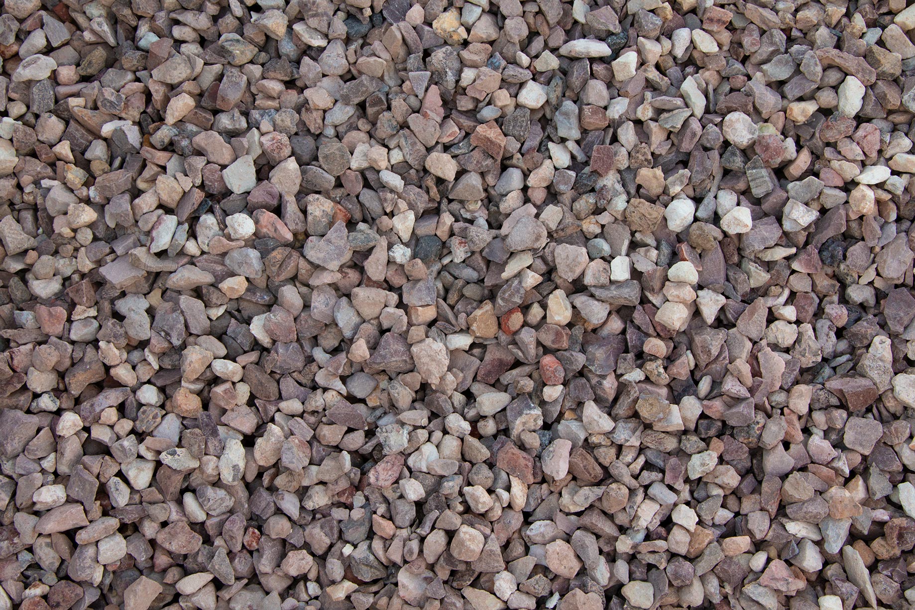 Champagne Rock @barkranch | Bark Ranch