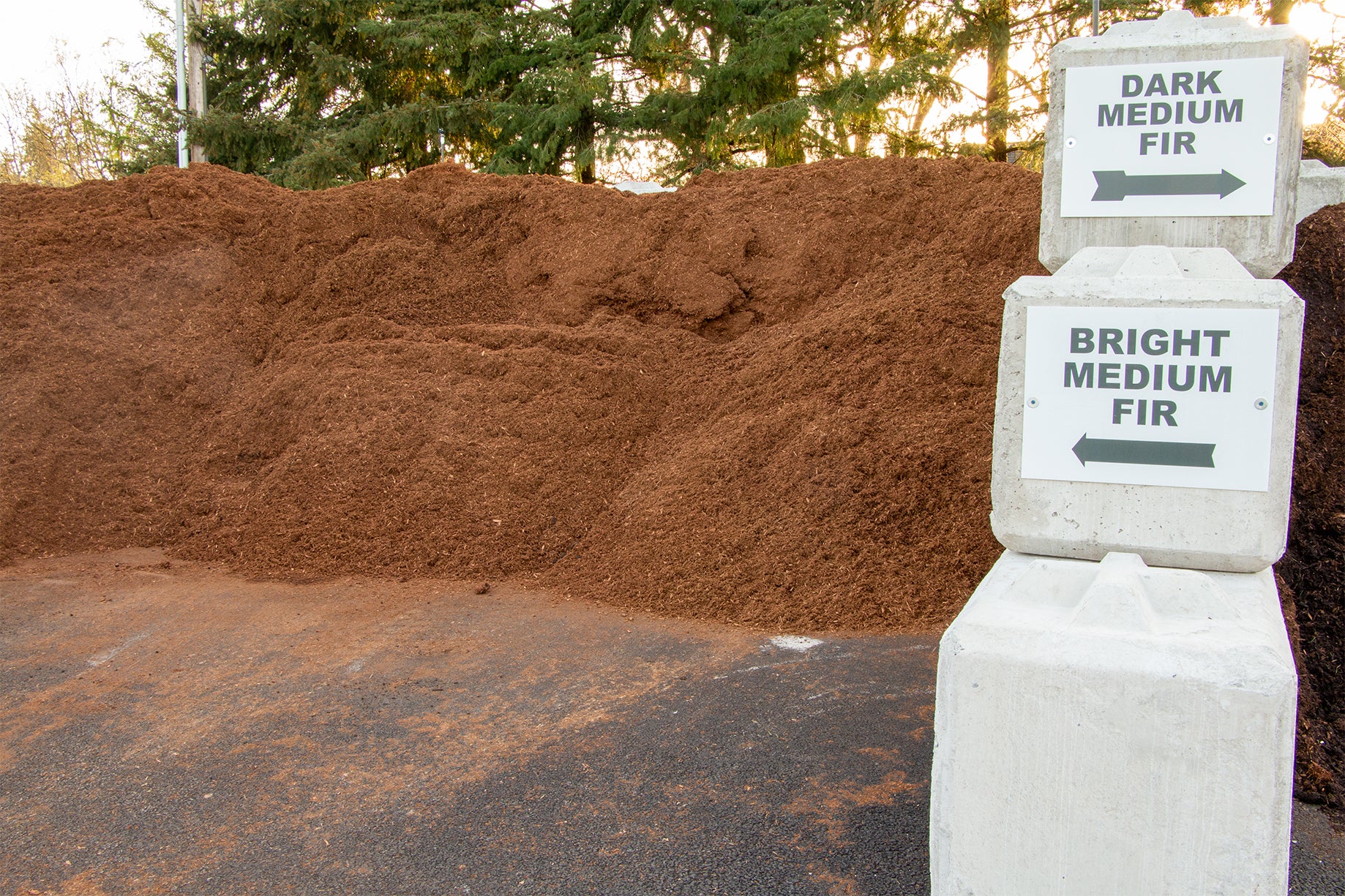 Bright Medium Fir Barkdust | Bark Ranch